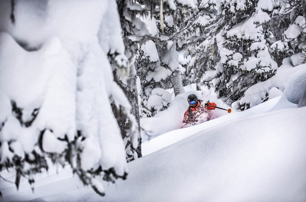 whistler1